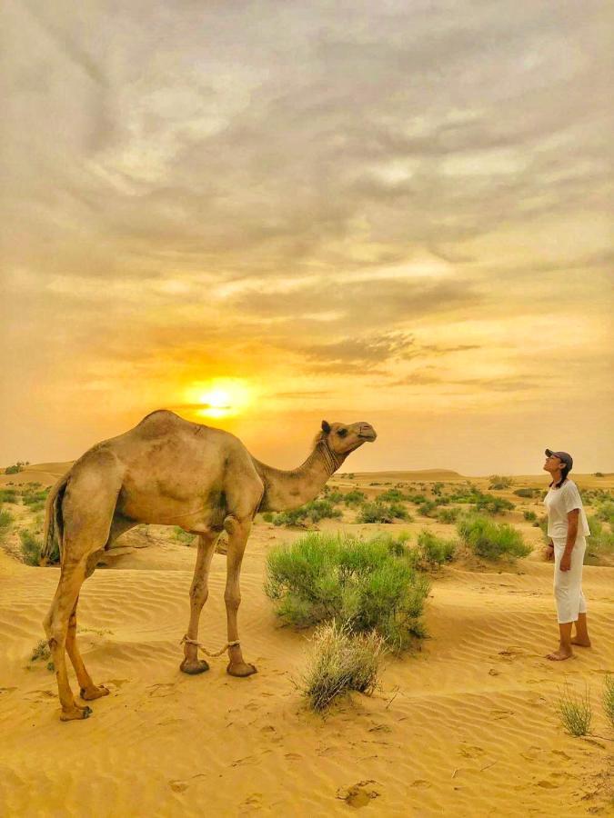 Hotel Desert Bloom Jaisalmer Exteriör bild